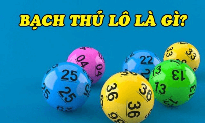 Bạch thủ lô có nghĩa là gì?