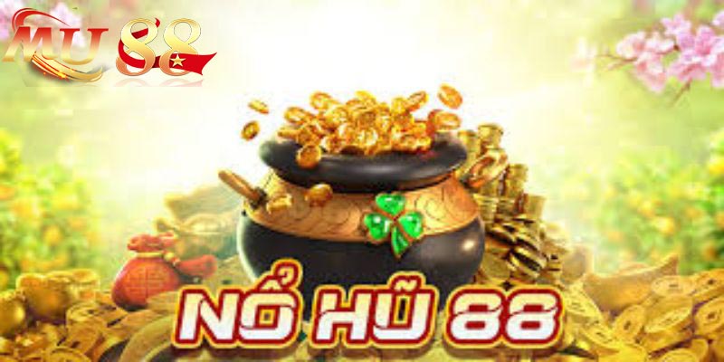 Những điều cơ bản cần biết tại Nohu88